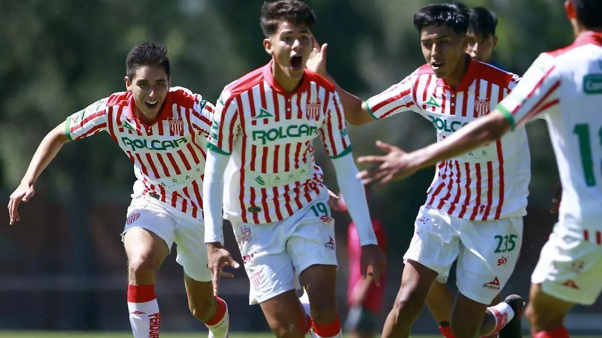 necaxa fuerzas básicas